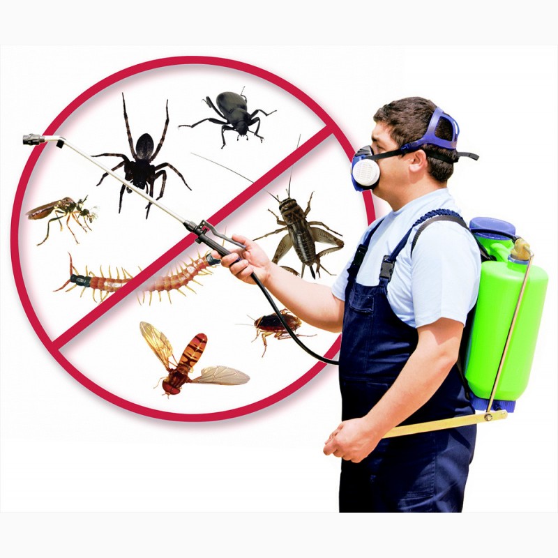 Средства борьбы с насекомыми и грызунами